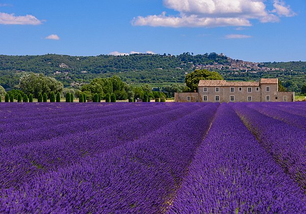 France Provence